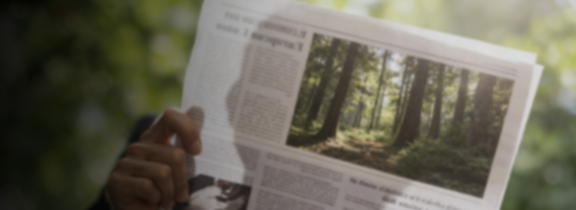 木業(yè)公司新聞動(dòng)態(tài)