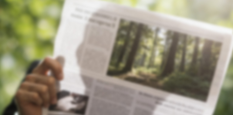 木業(yè)公司新聞動(dòng)態(tài)